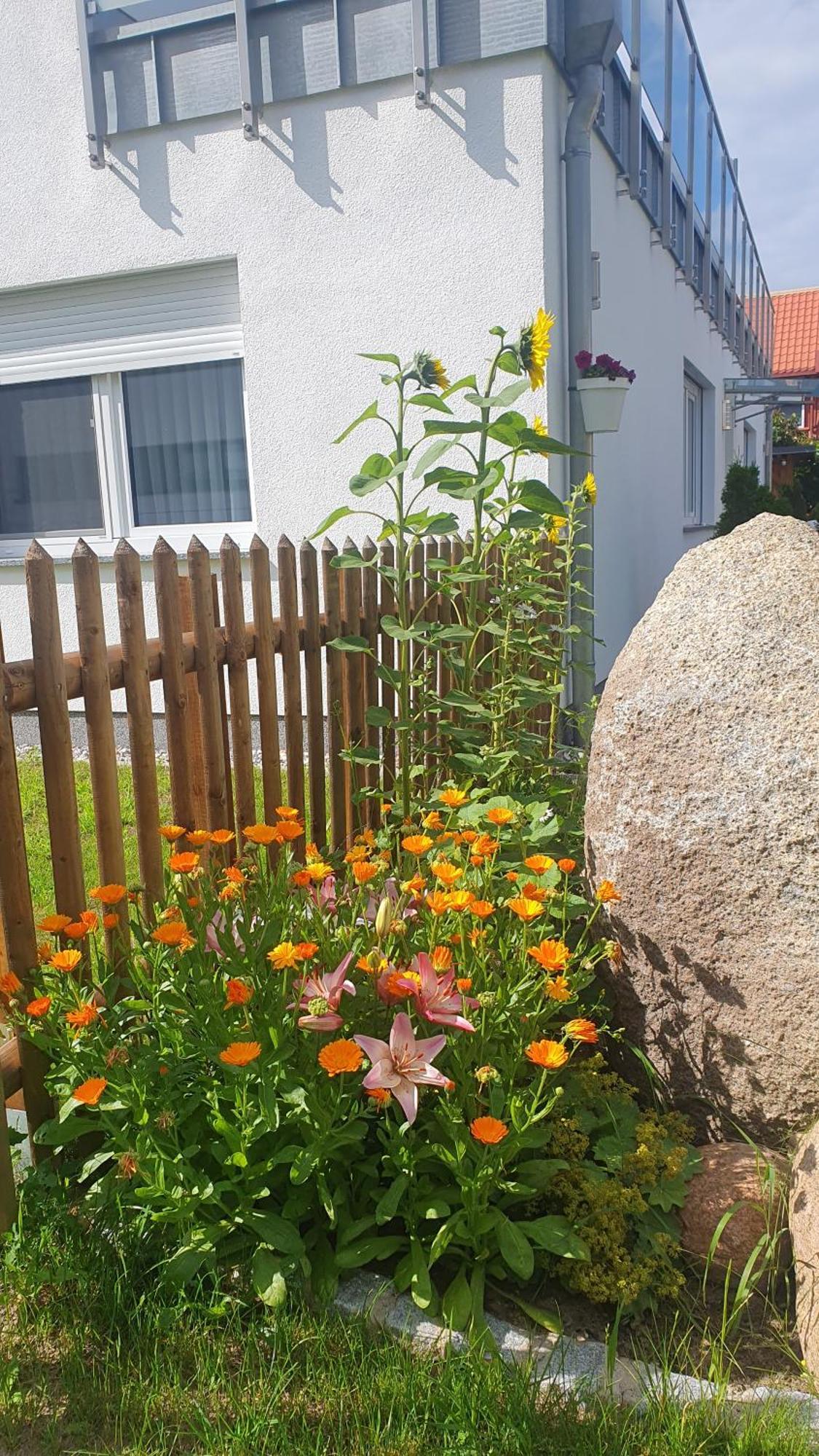 Ferienwohnungen "Godewind", Appartements Mit Balkon Oder Terrasse Zinnowitz Exterior foto